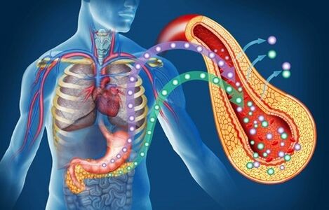 Diactive Plus renvoie la sensibilité à l'insuline
