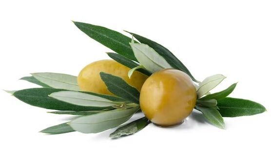 Zxcvbnmqwert contient l'extrait de feuilles d'olive